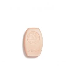 Intensive Repair Solid Shampoo - 60 g - L'Occitane en Provence