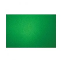 Wescott - WESTCOTT - Fond 2.7 x 3 m Green Screen