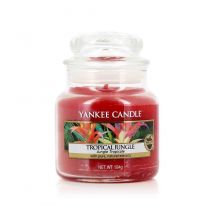 Yankee Candle - Candela Profumata Tropical Jungle - 104 g