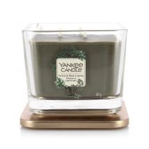 Yankee Candle - Bougie parfumée Vetiver et cyprès noir, Medium - 347 g