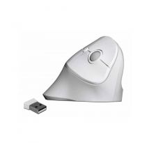 Delock - Souris ergonomique 12596 USB sans fil