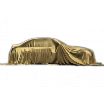 MYSTERY CAR - PETROL/DIESEL/EV