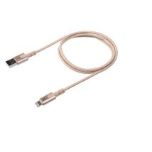 Câble avec Connecteur USB vers Lightning (1m) - Xtorm - Or