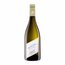 Pfaffl : Grüner Veltliner Reserve HOMMAGE 2019