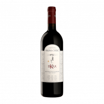 Masciarelli : Iskra Riserva 2019