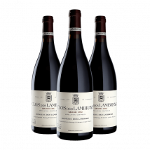 Domaine des Lambrays : Clos des Lambrays Grand cru 2020