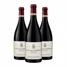 Domaine des Lambrays : Clos des Lambrays Grand cru 2021