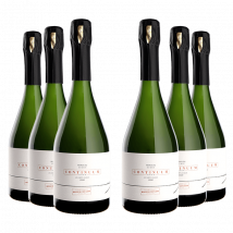 Roger Coulon : Continuum Les Champs Chevalier Vrigny Premier Cru Extra Brut