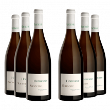 Domaine Vincent Pinard : Harmonie 2019