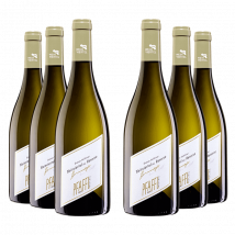 Pfaffl : Grüner Veltliner Reserve HOMMAGE 2019
