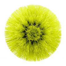 RYOBI - Brosse souple pour nettoyage multi-surfaces​