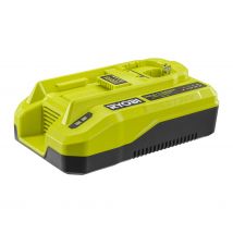 RYOBI - Chargeur 2-en-1 : 18V ONE+/36V MAX POWER