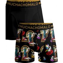 Muchachomalo Boxer overtherain