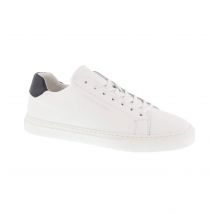 Cycleur de Luxe White 50-50 cdlm241125