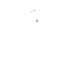 Lyle and Scott martin tee -