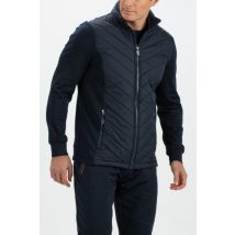 Falcon Hardy hardy-n024