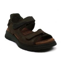 Fluchos F1773