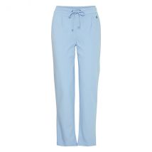Fransa Broek 20605622 hydrangea