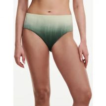 Chantelle Swim full brief