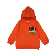 Sturdy Hoodie 71600574