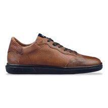 Floris van Bommel Sfm-10011