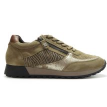 Helioform 293.003