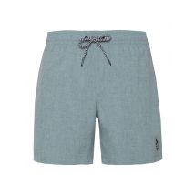 Protest davey beachshort zwemshort heren -