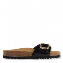 Scholl Kathleen f31519