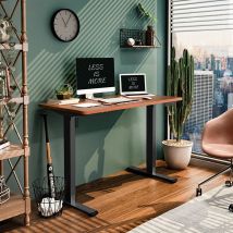 FlexiSpot EF1 Stand Up Desk Standing Desk Sit Stand Desk Smart Desk for Home Office Study Gaming Sliver