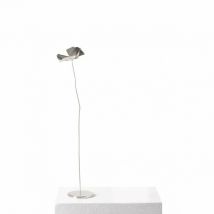 Objet décoratif de table Coquelicot Délicat par Gherardo Frassa, Opinion Ciatti