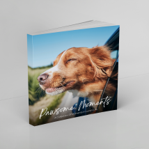 Soft Cover Photo Books - Capture Your Favourite Memories