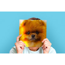 Instagram Metal Prints - Make Your Best Photos Shine