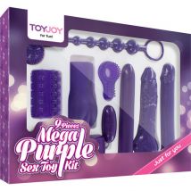 TOYJOY - NUR FÜR DICH MEGA LILA SEXSPIELZEUG-KIT - Gleitgel