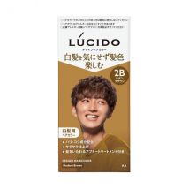 Mandom - Couleur de cheveux Lucido Design - 1 set - Modern Brown