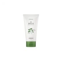 SKINFOOD - Vege Garden Cleansing Foam Armoise - 150ml