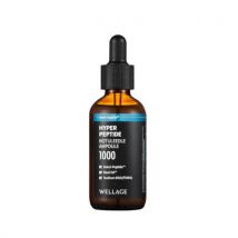 Wellage - Ampoule Hyper Peptide Bottleledle - 50ml