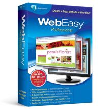 WebEasy Professional 10, English