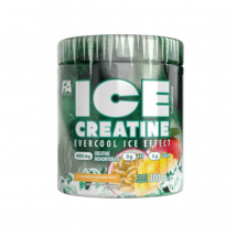 Kreatyna Monohydrat FA ICE Creatine 300g