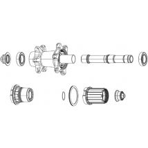 Zipp Freehub Kit ZR1 - XDR - Stainless Steel  61803  Bearings