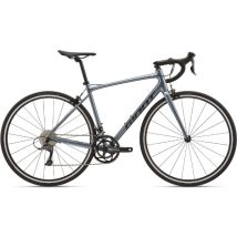 Giant Contend 2