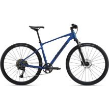 Giant Roam 1