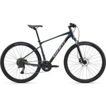 Giant Roam 2