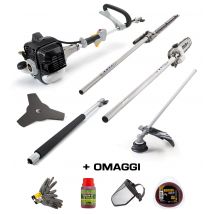 Multiutensile Alpina AMT 26 5 in 1 Decespugliatore Tagliasiepi Motosega 25 cc