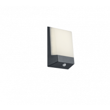 Applique Led Parete Esterno Sensore Crepuscolare Antracite Kasai GD Trio