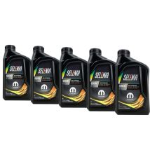Selenia WR Forward 5W-30 5x1 Liter