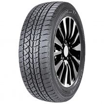 DOUBLESTAR WINTERKING DW02 245/50R20 102T BSW