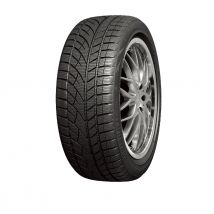 ROADX RX FROST WU01 225/55R16 99H XL MFS BSW