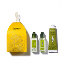 Verbena Ornament - 3 qt - L'Occitane en Provence