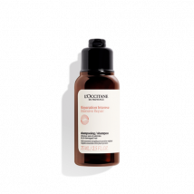 Intensive Repair Shampoo (Travel Size) - 75 ml - L'Occitane en Provence