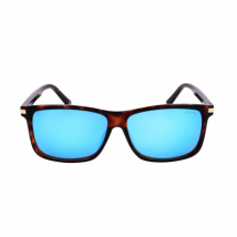 Polaroid PLD2075SX Havana Blue Sunglasses